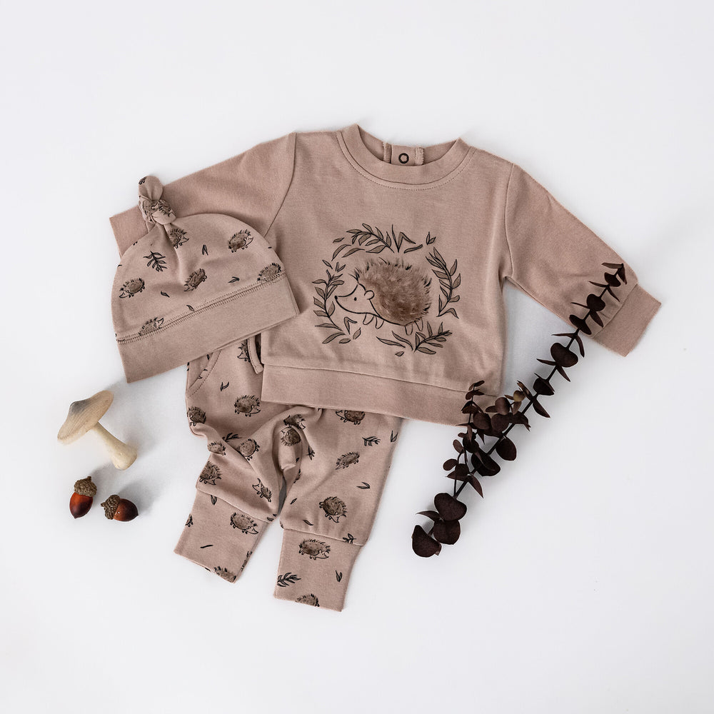 Child wearing Organic Sweatshirt & Jogger Set in Prickles.