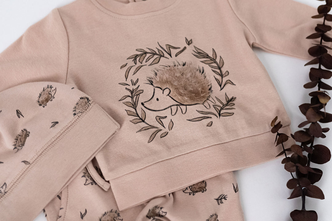 Child wearing Organic Sweatshirt & Jogger Set in Prickles.