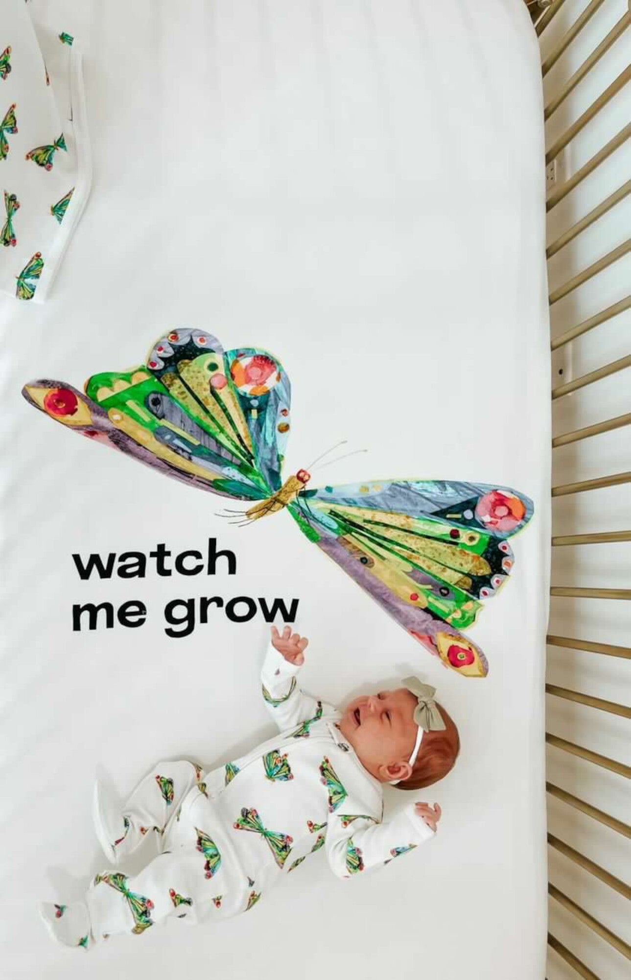 L ovedbaby 2 Pack Fitted Organic Cotton Crib Sheets in Watch Me Grow